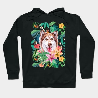 Tropical Siberian Husky 6 Hoodie